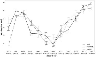 Ingestive Behavior of Young Lambs on Contrasting Tropical Grass Sward Heights